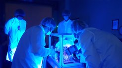 Before the instrument can be packed, the SWI team looks for contamination. Ultraviolet light makes these particles visible.