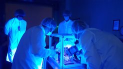 Shortly before SWI is shipped to Toulouse in 2021, the scientific and technical teams at the MPS use ultraviolet light to check that no dust particles contaminate the instrument.